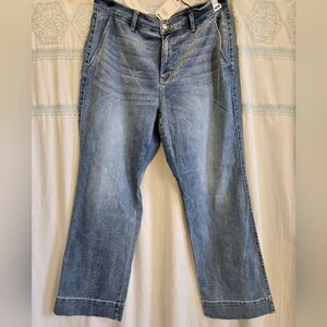 NWT Judy Blue mid rise wide leg 20W